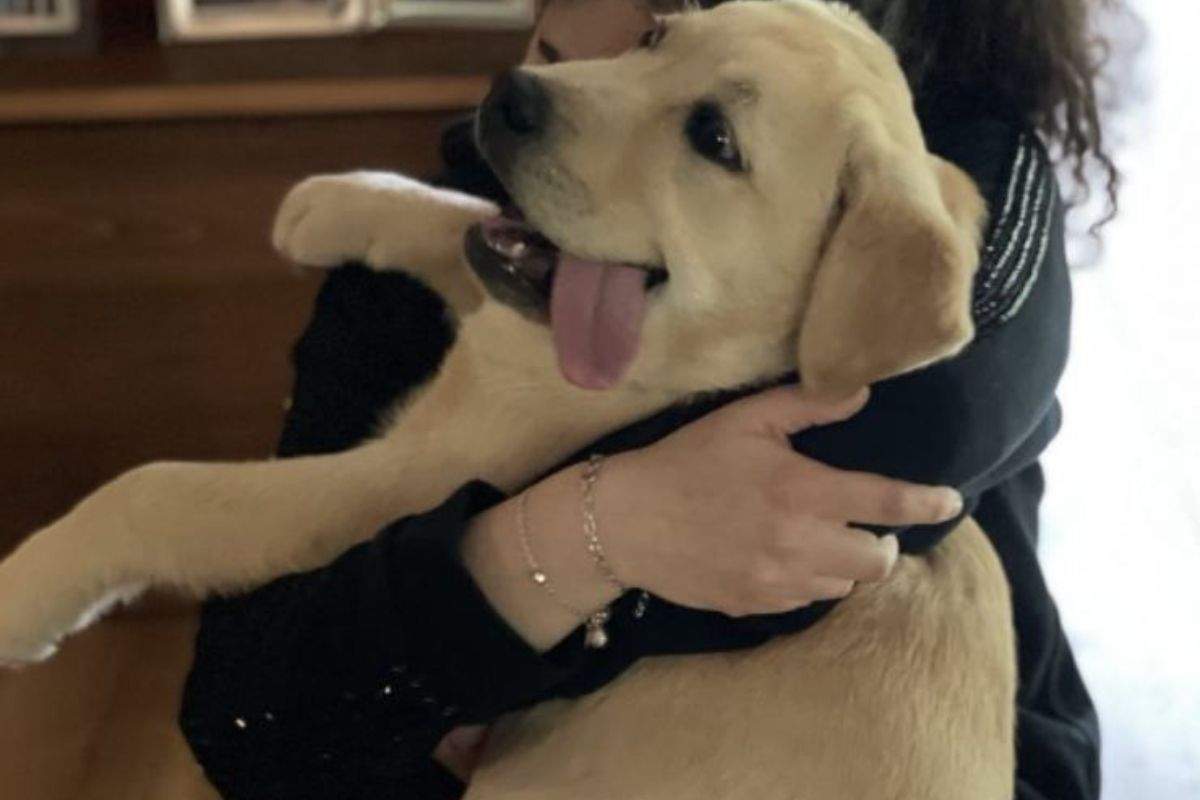 Antonella Clerici, com'è diventata la figlia Maelle - Misteriditalia.it