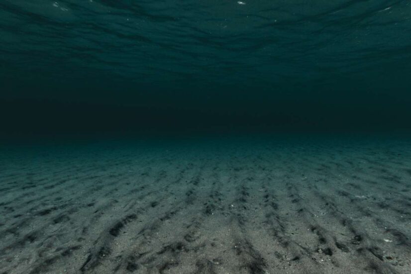 Scoperta da brivido nel Tirreno: 1.300 “anelli” di 20 metri in Italia