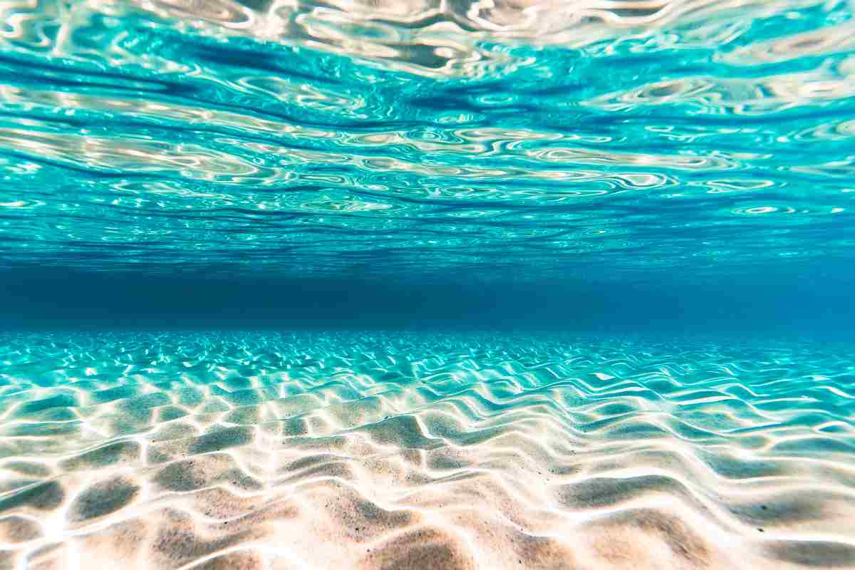 Scoperta da brivido nel Tirreno: 1.300 “anelli” di 20 metri in Italia