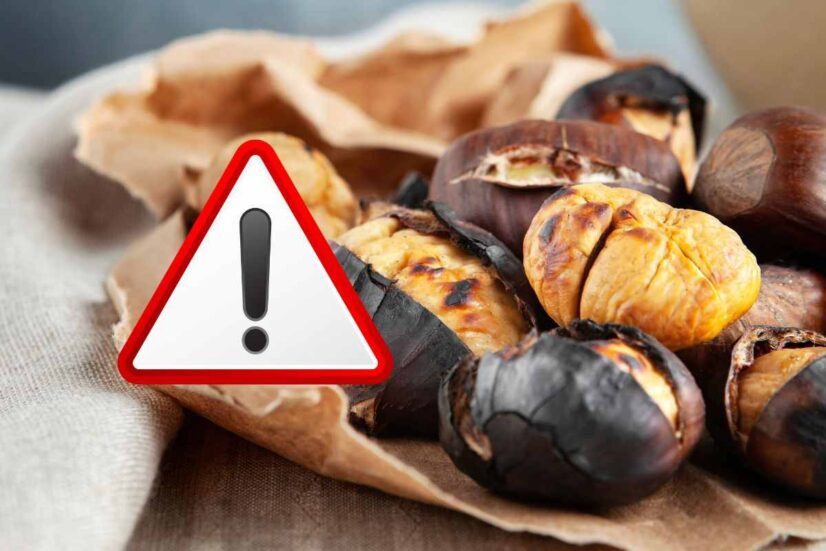 castagne se le vedi cosi non mangiarle