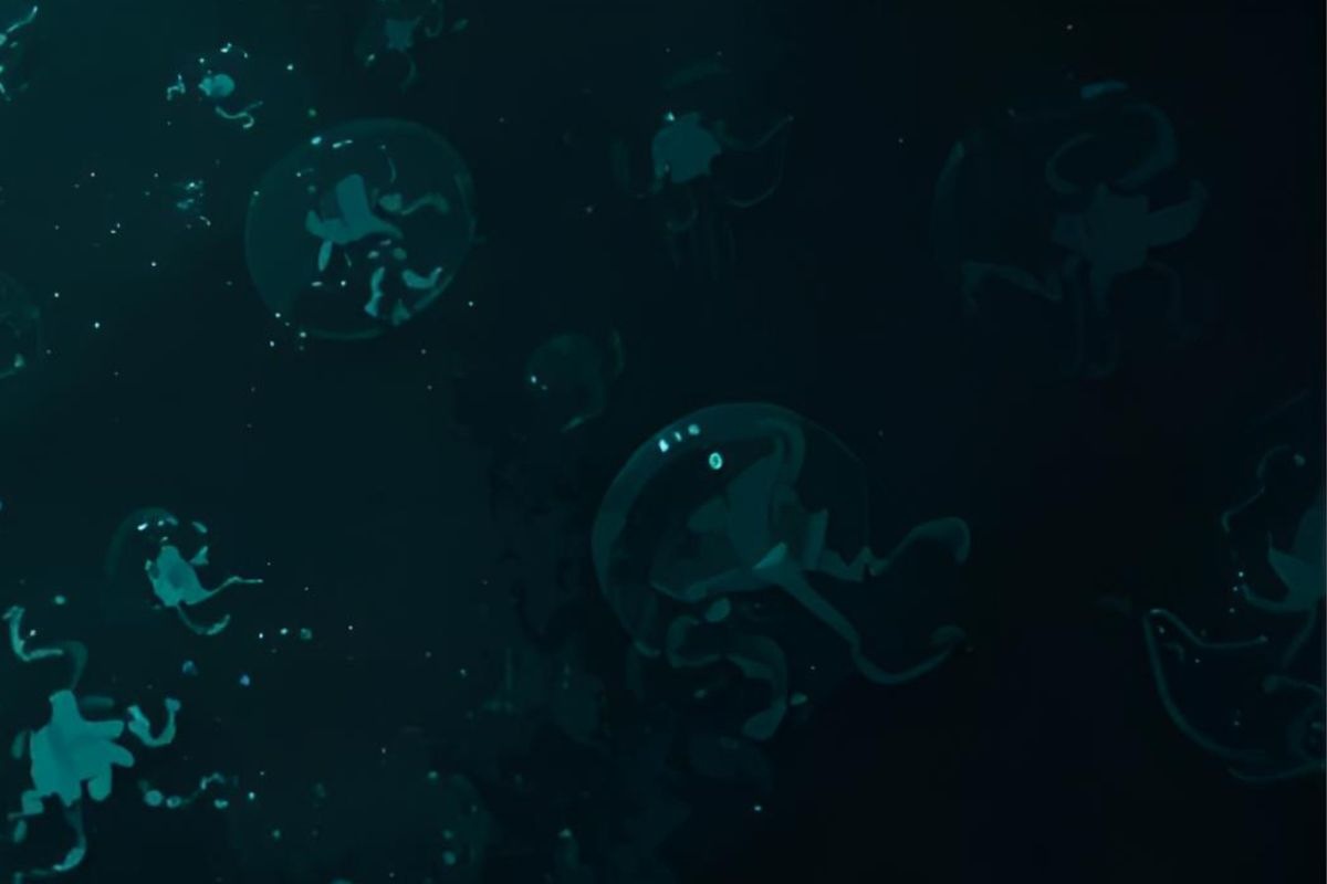 Ufo subacquei, l'allarme