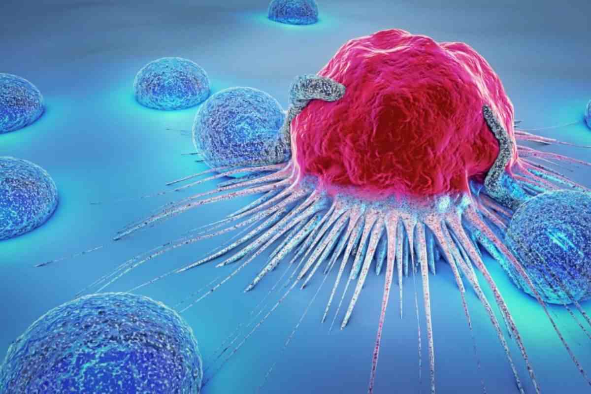 Qual è la differenza tra tumore e cancro