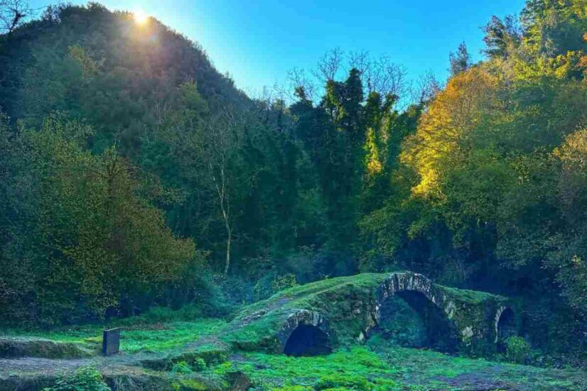 Questo borgo vicino Roma è un gioiello unico della Tuscia