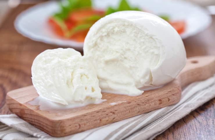 mozzarella