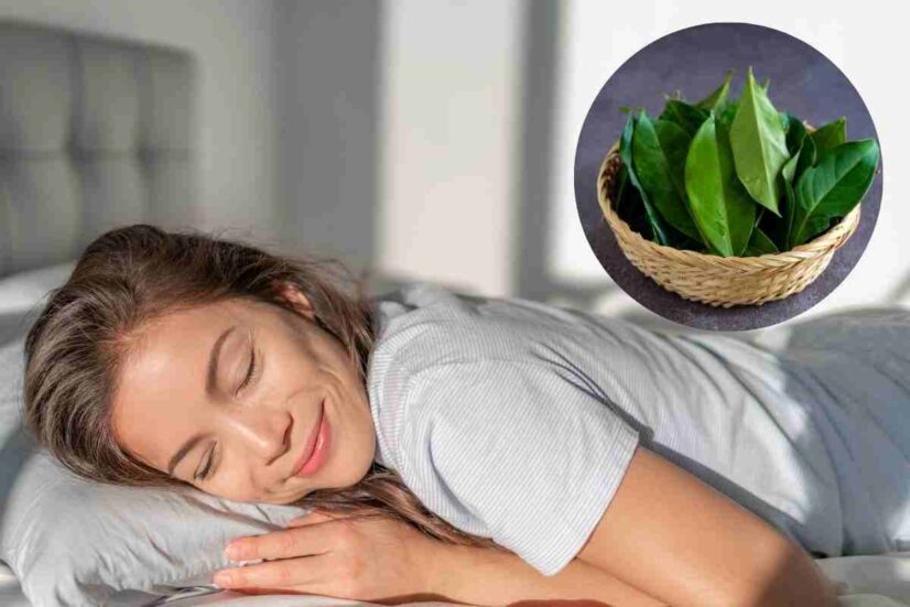 foglie alloro in camera da letto: tutti i benefici