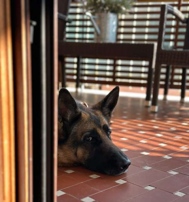 Il terrazzo della dimora romana