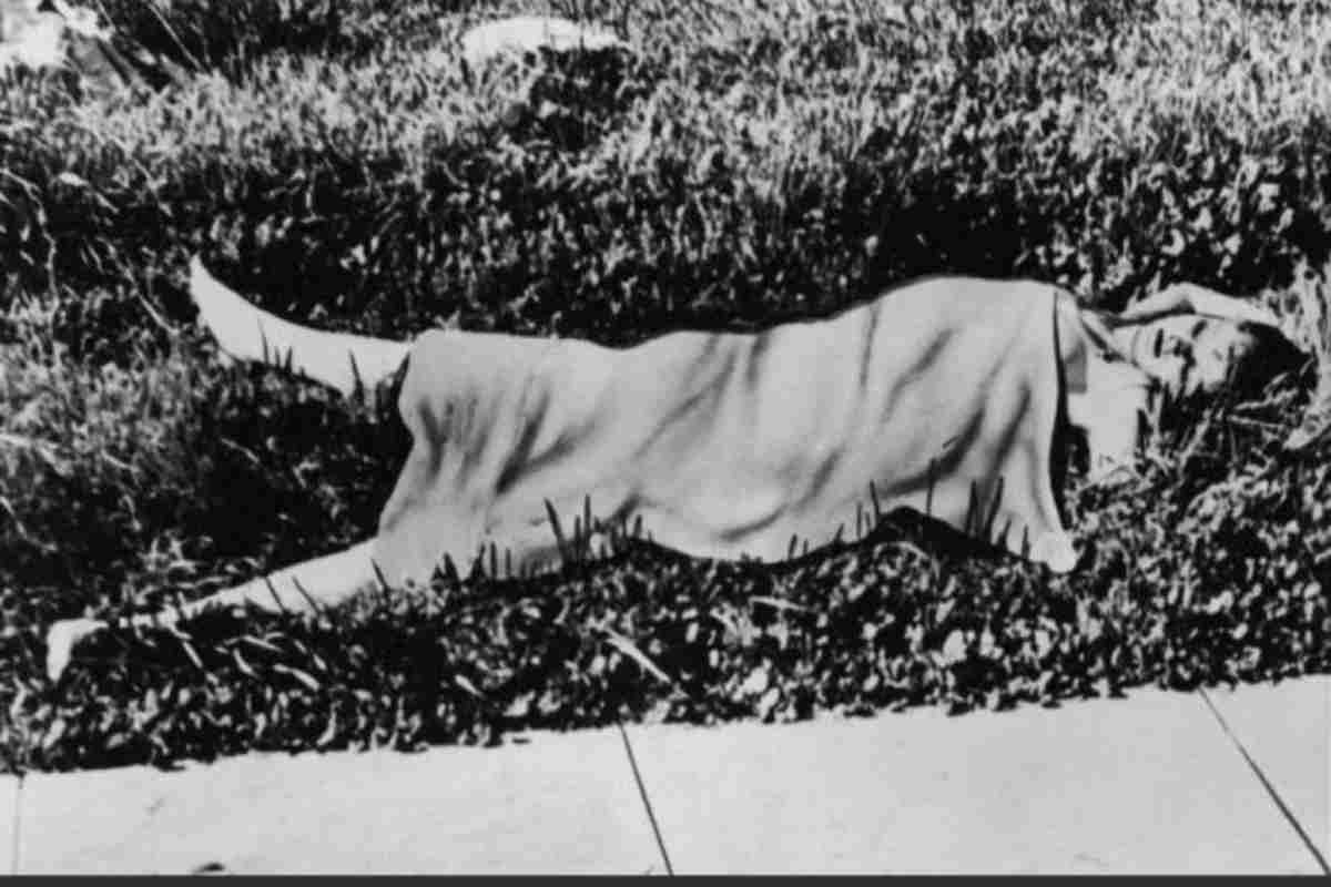 Omicidio Black Dahlia