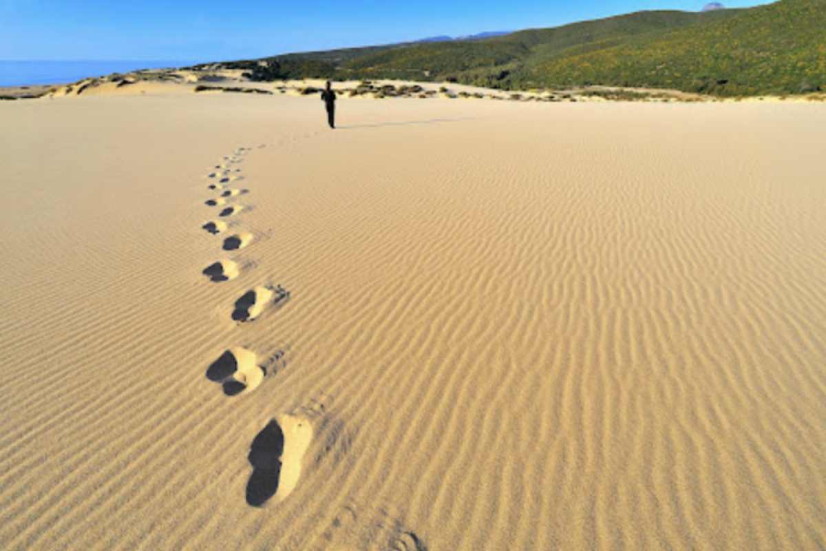 Situate nella zona della Costa Verde, nel comune di Arbus, queste dune rappresentano una vera oasi di silenzio e natura selvaggia