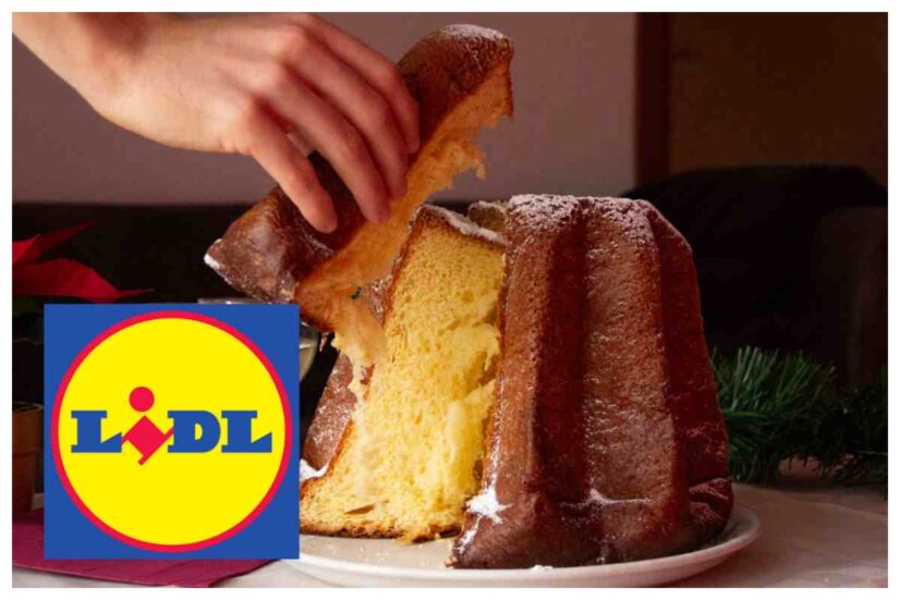 Il Pandoro lidl cosa si nasconde dietro