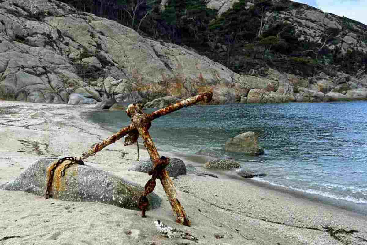 L’Isola di Montecristo è oggi una riserva naturale biogenetica di straordinaria importanza, gestita dal Comando Carabinieri per la tutela della biodiversità