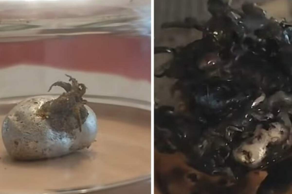 Meteorite nero che cos'è