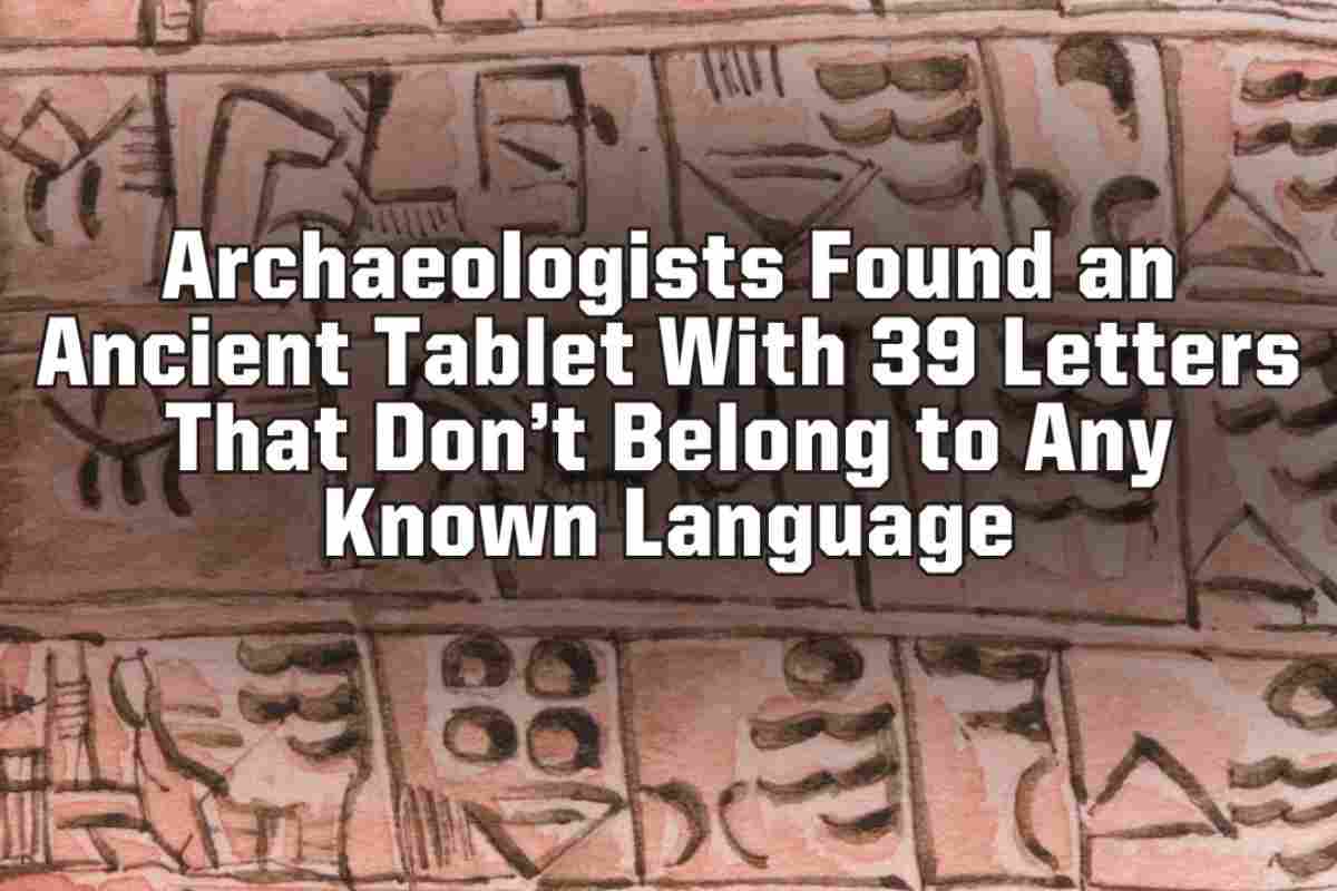 tavoletta di Bashplemi.