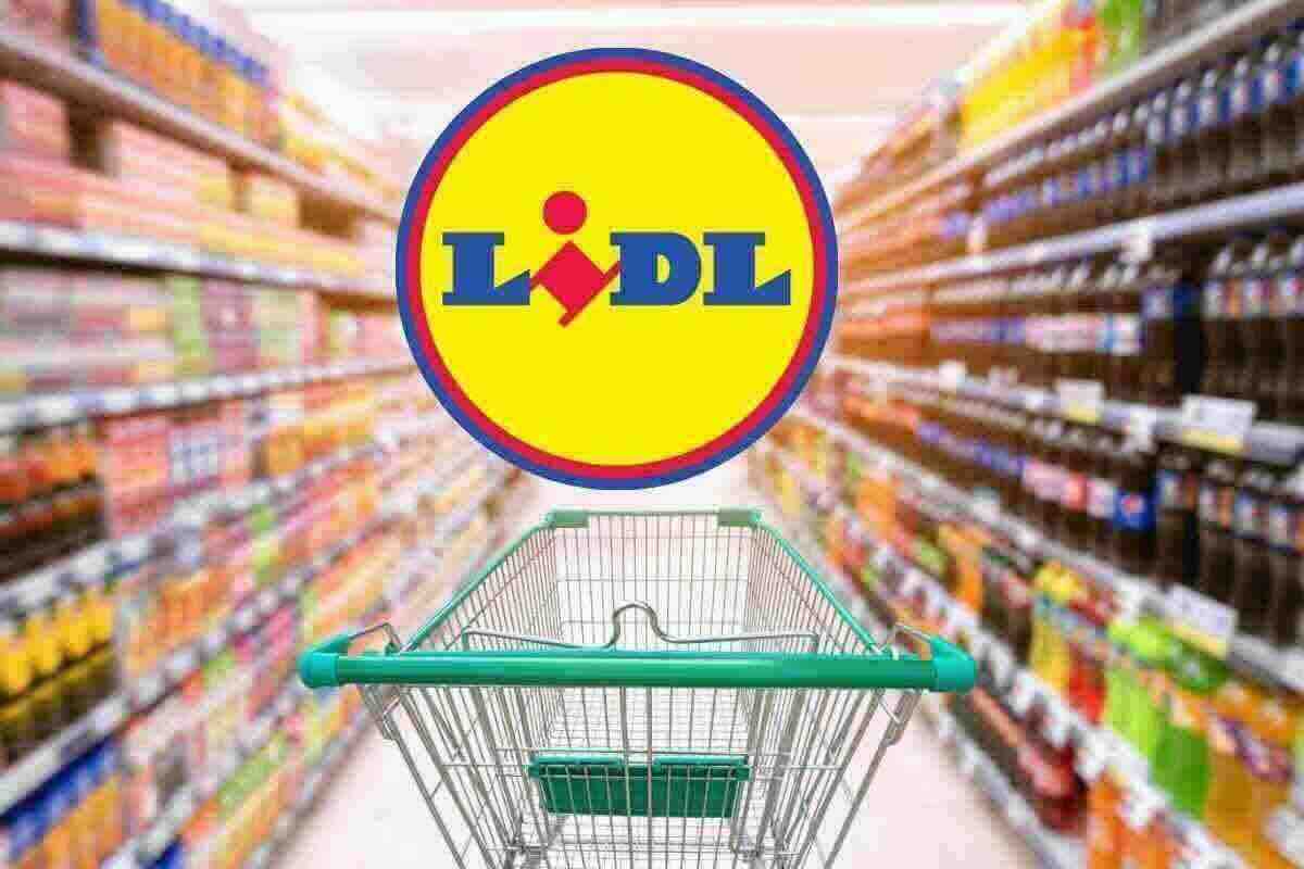 lidl batte mediaworld