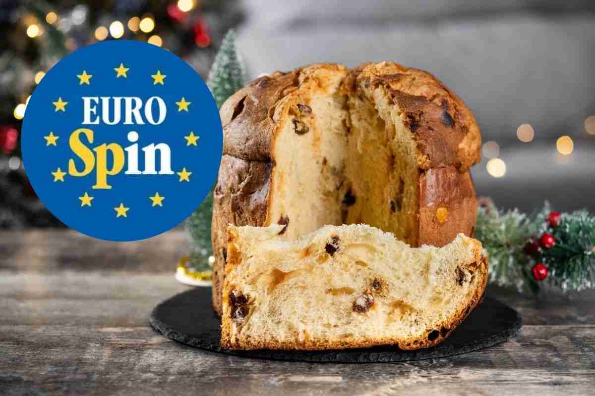 panettone eurospin chi lo produce