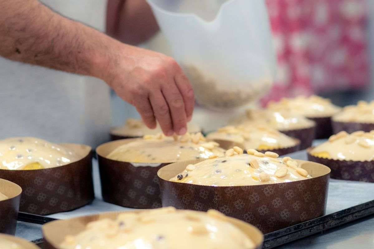 Preparazione panettone